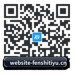 系统版 iOS 二维码